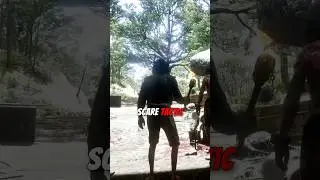 A Murfree's POV from Red Dead Redemption 2  #rdr2 #gaming #arthurmorgan #rdo #rockstar