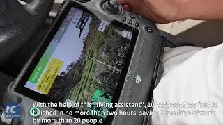 Drones boost matcha farming in SW China