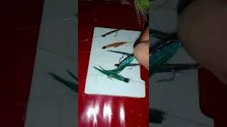 night fishing for matambaka