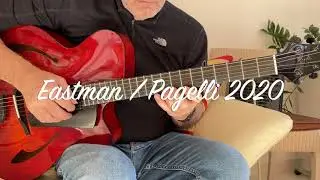 5 Top Jazz Guitars Sound Test & Speed Dating(Ibanez GB30,GB 200,Maybach,Sonntag,Pagelli) Comments?