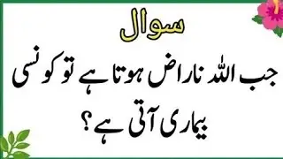 Top Islamic QuestionsAnswers - Islamic Puzzles-Islamic Sawal Jawab-UrduQuiz Islamic Quiz | Gk