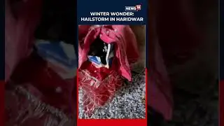 Winter Hits Hard in North India! Haridwar Sees Intense Hailstorm as Cold Wave Peaks | N18S