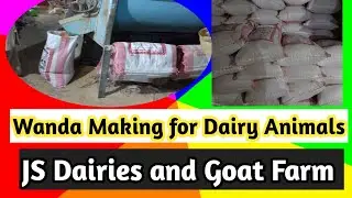 Wanda Making For Dairy Animals | Wanda Factory| JS Dairies