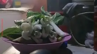 Ulam is life🤣