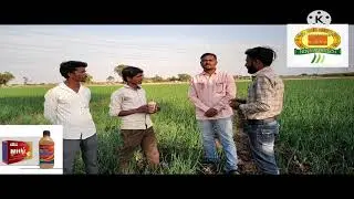 Nova Mithr and Nutriboost Result Onion crop