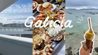 VLOG GALICIA DÍA 6 | Visitamos Vigo y comemos una mariscada 🦐