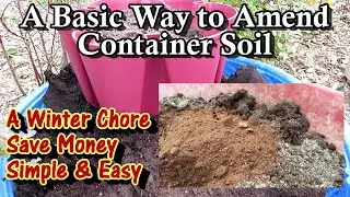 The Basics for Refreshing Container Garden Soil Every 2-3 Years: Save Money & Create a Base Mix