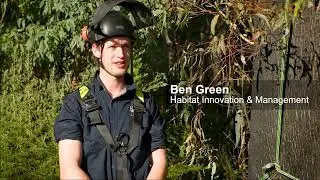 After the impact - protecting threatened species after emergency events