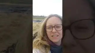 Markedshaven den 21 marts 2020