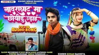 🎶( नादराघाट मां  छोयीडु उड़ाई) New Bevfai Song 🎙️ Singer Sohan Bamaniya ll New Full Video Song🎶