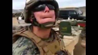 Army turtle