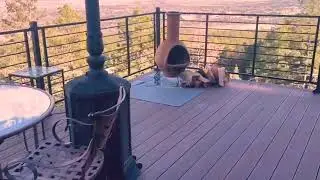 Wrap Around Deck - Colorado Springs
