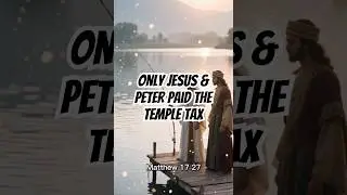 🐟 Only Jesus and Peter paid the temple tax &mdash; the rest were likely under 20.