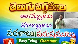 Learn Telugu Alphabets | అచ్చులు, హల్లులు భాగాలు | TET/DSC & Students Special
