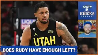 Do Rudy Gay or JaMychal Green have enough left to fill the Knicks' opening at backup power forward?