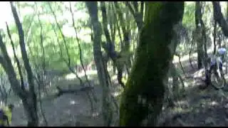 03072010008.mp4