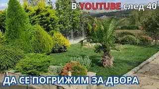 Да се погрижим за двора