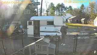 Goldy'sCYLoading 927am JAnine Wanda Ziggy;930am Sally;Colby 940am FLower go943am;leaf man11282025