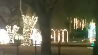 Christmas in full swing