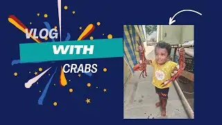 Vlog With Crabs.. 🦀🦀 #vlog #beach #food #foodie #village #lunch #viral #couple #couplegoals #funny