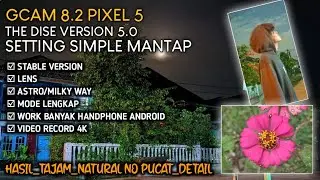 Gcam 8.2 The Dise v5.0 Setting Simpel Hasil mantull dan Natural | Work Banyak Device Android