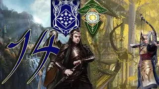 Divide and Conquer, les Hauts-Elfes (Mod : Golden Legacy) E14