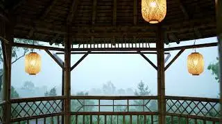 REAL Rainforest  🌧️ Heavy Tropical Rain Sounds for Deep Sleep