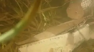 THE FALLING APART WRECK OF THE GREAT CARDBOARDAMAN