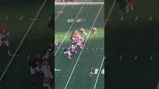 Tee Higgins One handed TD 😳🐅 #bengals #nfl #football