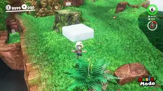 Database - Grassland