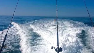 Fishing Trip Out Of San Pedro California 2021