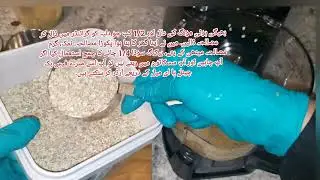 Mung Bean Bread For Strong Bones Smart Good Health and Gluten Free 