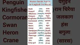 Water Birds Name In English To Hindi #english #shorts #viral