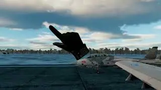 DCS with my squadron (Aerobatics)