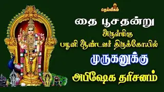 🔴LIVE :  தை பூசதன்று பழனி ஆண்டவர் அபிஷேக தரிசனம் #dheiveegamtv #palanimuruga