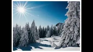 Stille Wege, kalte Luft – Winterwanderung zum Großen Arber im Bayerischer Wald | 4K Cinematic