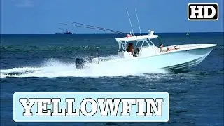 Yellowfin Open Running out Fort Lauderdale | AD/HD