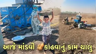 આજે ઓપનરમા માંડવી🥜 કાઢવાનું ચાલુ // magfali kadhavanu kaam [gujrati vlogs]