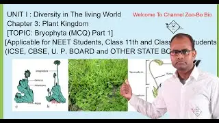 Plant Kingdom | Bryophyta Part 1 MCQ | 2025 | ZOO BO BIO |