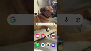 MY VOICE REVEAL AFTER WAITING FOREVER