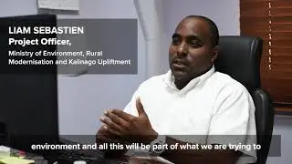 Liam Sebastien   Bulbs Video