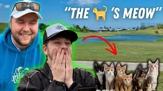 We Played a Par 3 and Everything Was the Cat&rsquo;s Meow