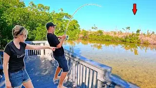 I Rented an Air BnB Just to Fish This Famous Spot!