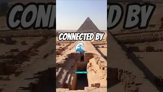 Water Reached the Plateau  |🔺Kings of Construction | Pyramid Scheme 🔺