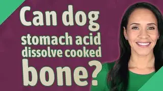 Can dog stomach acid dissolve cooked bone?