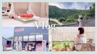 【動いた！食べた！行き当たりバッチリ👍✨】GW休日後半戦⚽お菓子爆買い！家庭菜園｜40代夫婦の休日vlog