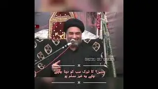 Allama Syed Ali Raza Rizvi: Inspiring Lessons from a Spiritual Leader