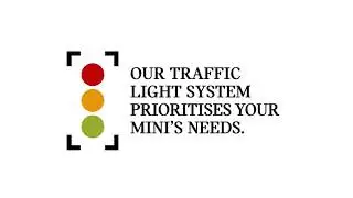 MINI Electronic Visual Health Check