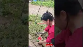 Unique ways of growing Vegetables #shorts #farming #garden #gardening #trending