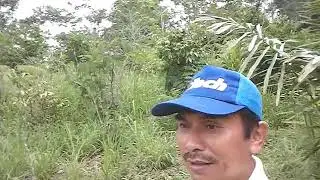Hutan Wisata TNGM